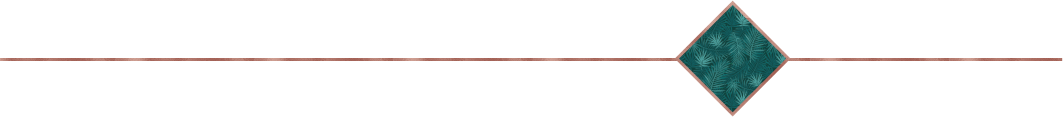 er-19 er-19